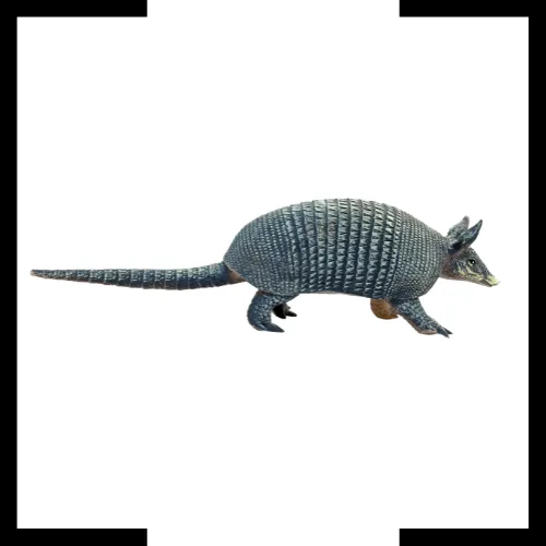 armadillo